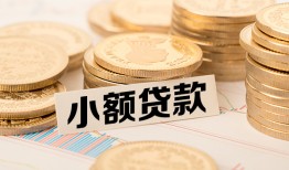 深圳罗湖区哪里有小额贷款-深圳罗湖区身份证贷款平台-深圳罗湖区民间短借